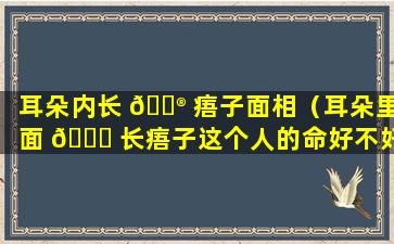 耳朵内长 💮 痦子面相（耳朵里面 🐒 长痦子这个人的命好不好）